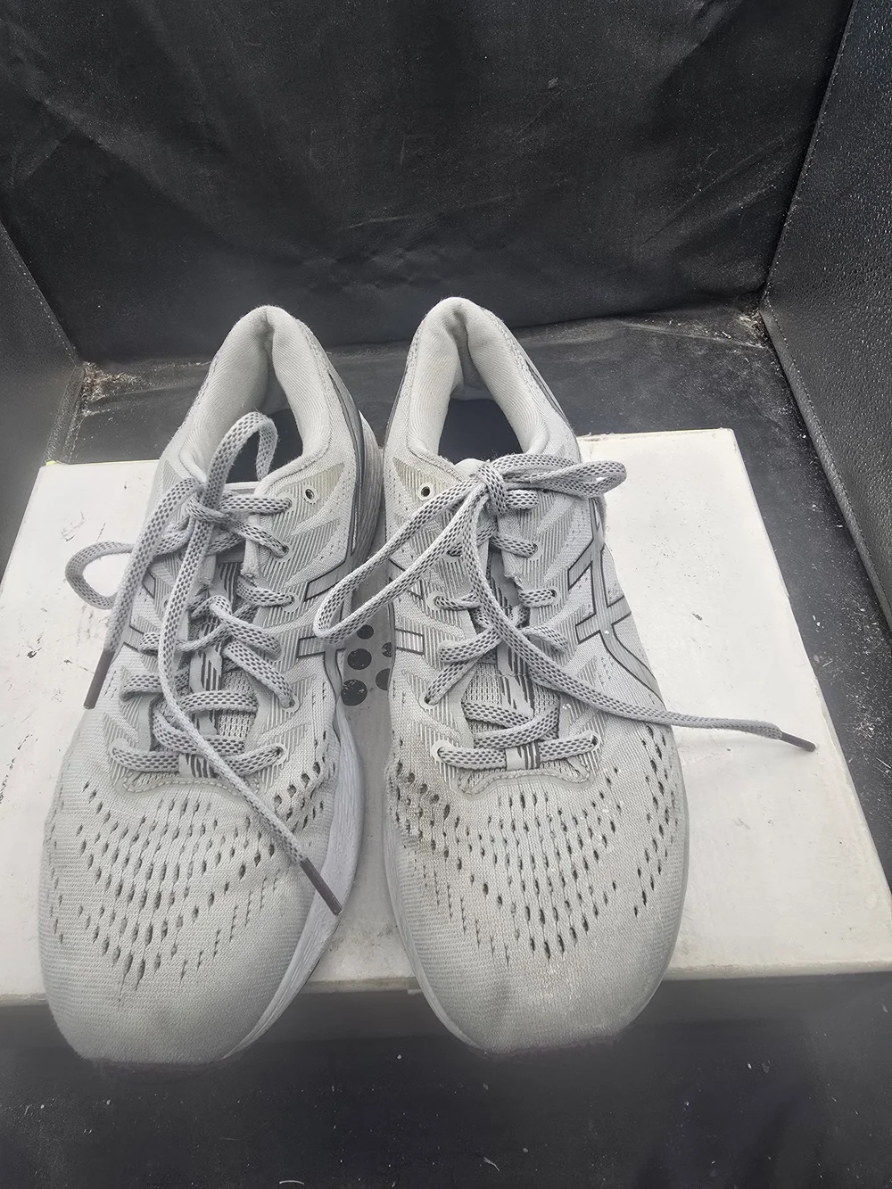 ASICS Light Gray Mesh Running‎ Shoes